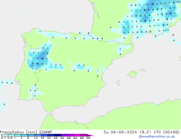 Niederschlag ECMWF So 09.06.2024 21 UTC