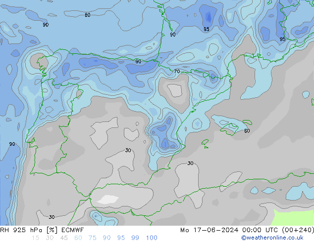 RH 925 гПа ECMWF пн 17.06.2024 00 UTC