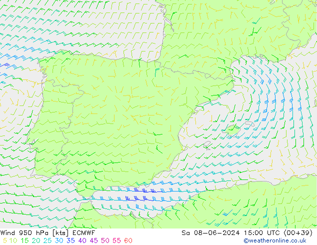 Wind 950 hPa ECMWF Sa 08.06.2024 15 UTC