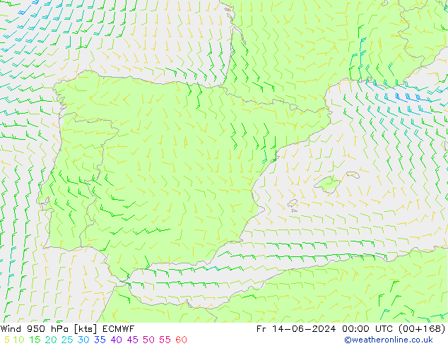 wiatr 950 hPa ECMWF pt. 14.06.2024 00 UTC