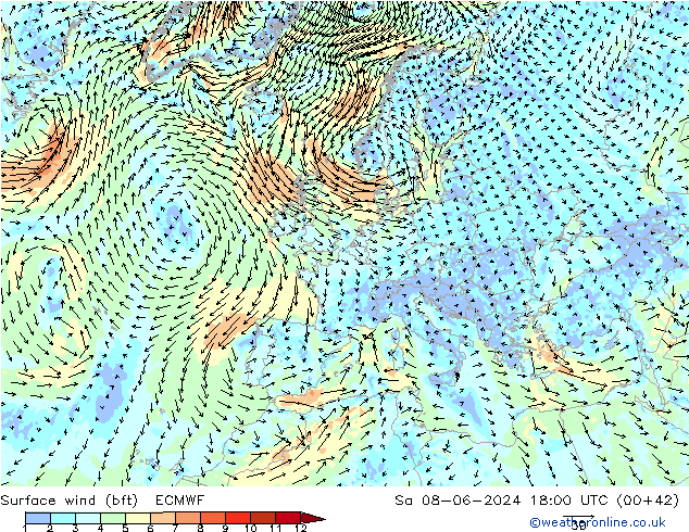 ве�Bе�@ 10 m (bft) ECMWF сб 08.06.2024 18 UTC