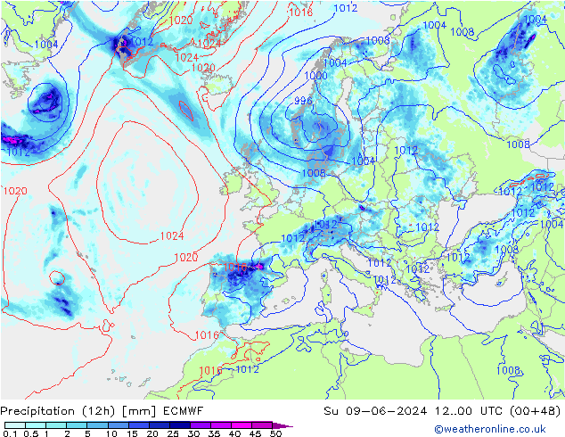 осадки (12h) ECMWF Вс 09.06.2024 00 UTC