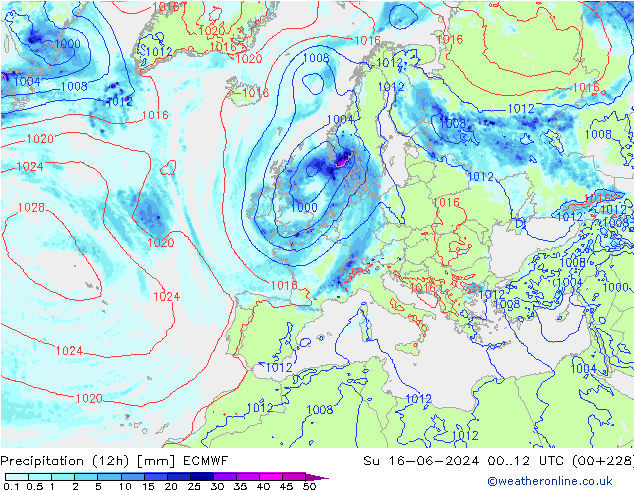 Precipitation (12h) ECMWF Ne 16.06.2024 12 UTC