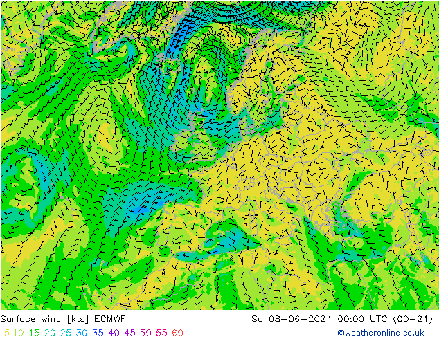 Surface wind ECMWF Sa 08.06.2024 00 UTC