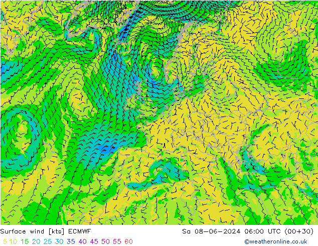 Surface wind ECMWF Sa 08.06.2024 06 UTC