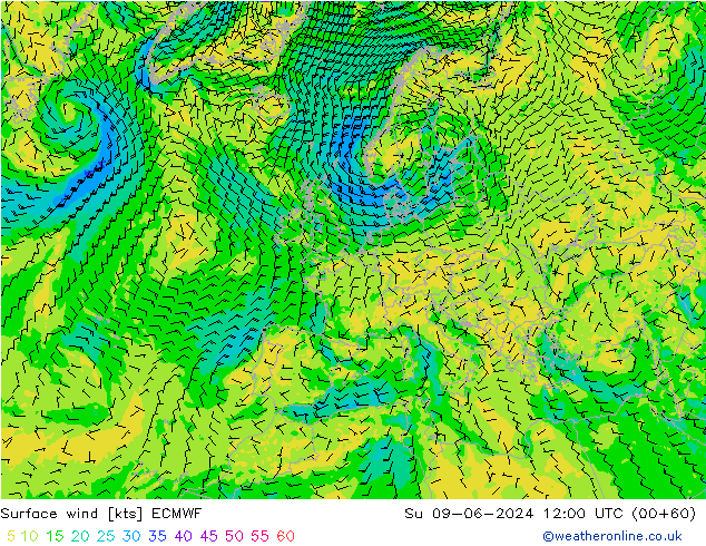 Surface wind ECMWF Su 09.06.2024 12 UTC