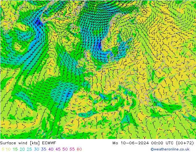 Rüzgar 10 m ECMWF Pzt 10.06.2024 00 UTC