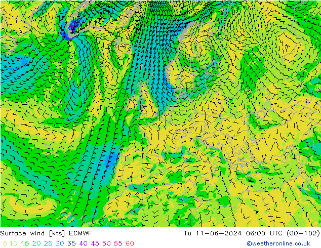 Vent 10 m ECMWF mar 11.06.2024 06 UTC