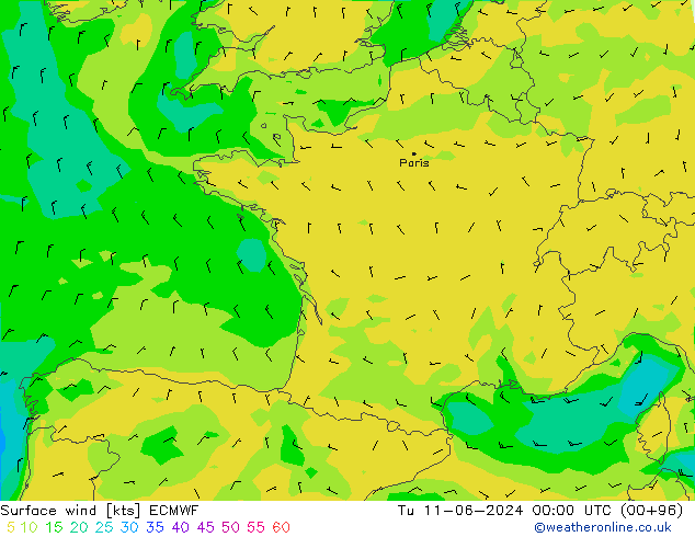 Surface wind ECMWF Út 11.06.2024 00 UTC