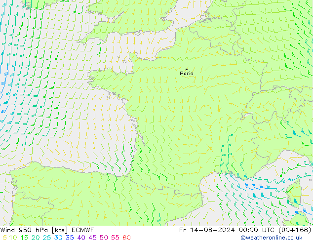 wiatr 950 hPa ECMWF pt. 14.06.2024 00 UTC