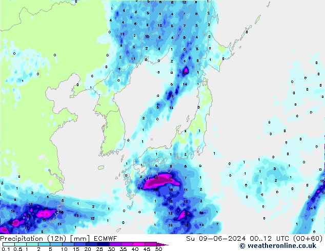 Totale neerslag (12h) ECMWF zo 09.06.2024 12 UTC