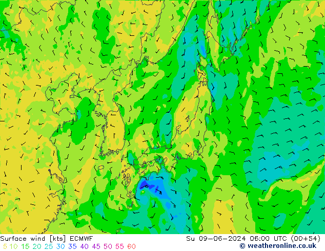 Prec 6h/Wind 10m/950 ECMWF Вс 09.06.2024 06 UTC