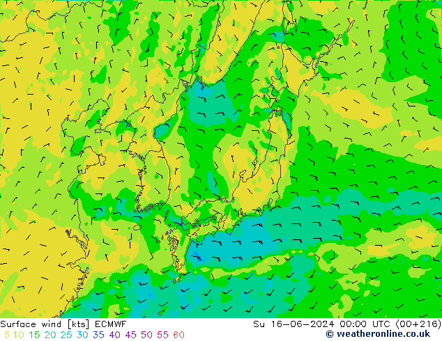 Surface wind ECMWF Ne 16.06.2024 00 UTC