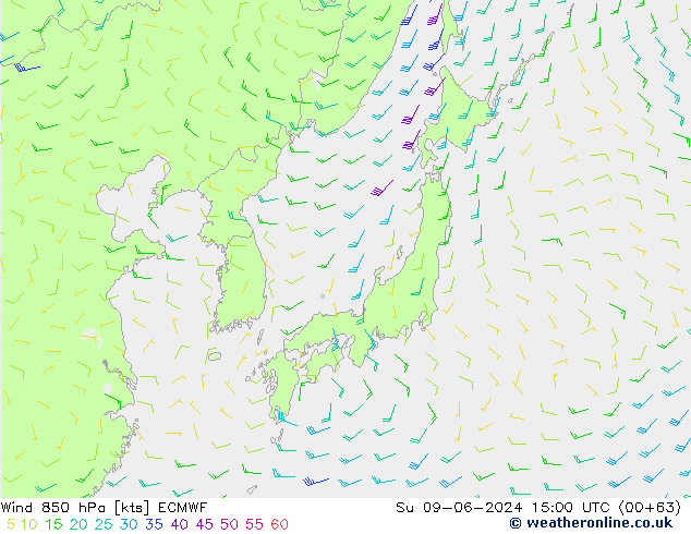 Vento 850 hPa ECMWF dom 09.06.2024 15 UTC