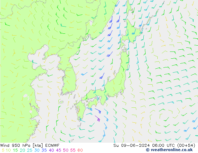 Prec 6h/Wind 10m/950 ECMWF Вс 09.06.2024 06 UTC