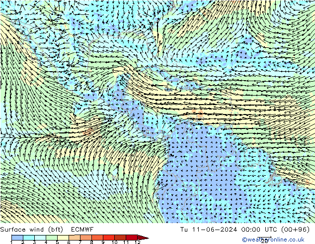 Wind 10 m (bft) ECMWF di 11.06.2024 00 UTC