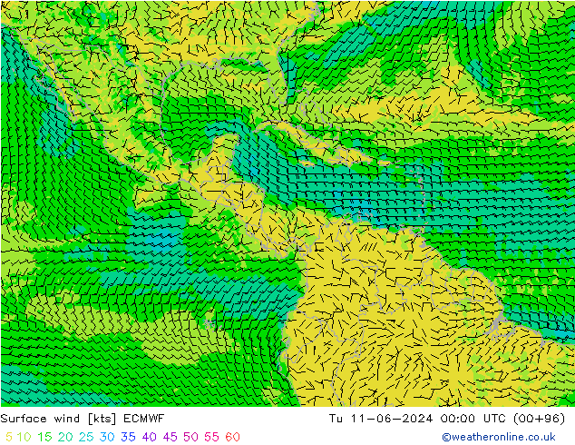 Wind 10 m ECMWF di 11.06.2024 00 UTC