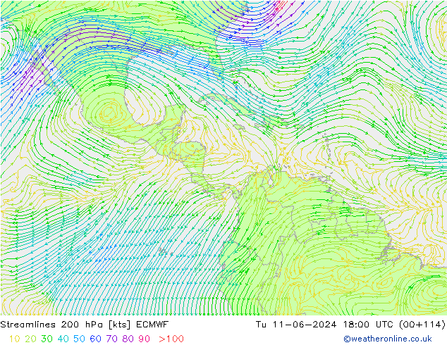 Stromlinien 200 hPa ECMWF Di 11.06.2024 18 UTC