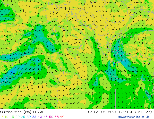 Surface wind ECMWF Sa 08.06.2024 12 UTC