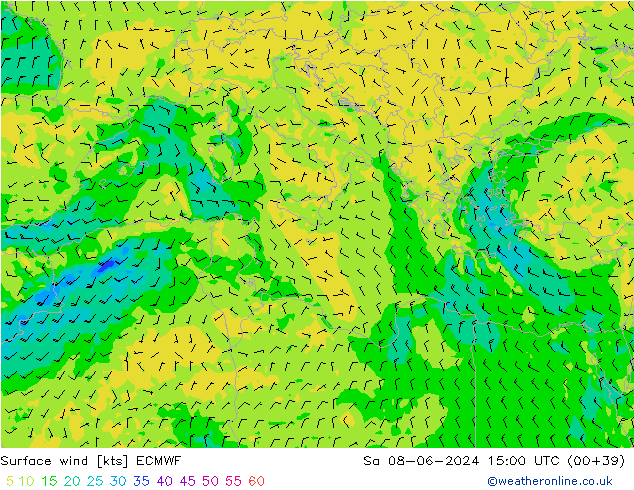 Surface wind ECMWF Sa 08.06.2024 15 UTC