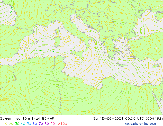 Rüzgar 10m ECMWF Cts 15.06.2024 00 UTC