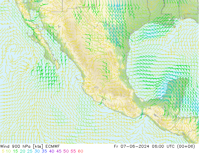 wiatr 900 hPa ECMWF pt. 07.06.2024 06 UTC