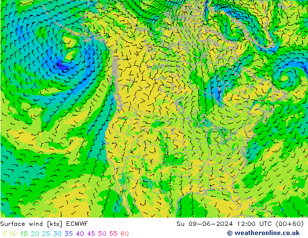 Yağış 6sa/Rüz. 10m/950 ECMWF Paz 09.06.2024 12 UTC