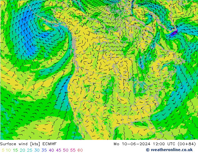 Surface wind ECMWF Po 10.06.2024 12 UTC