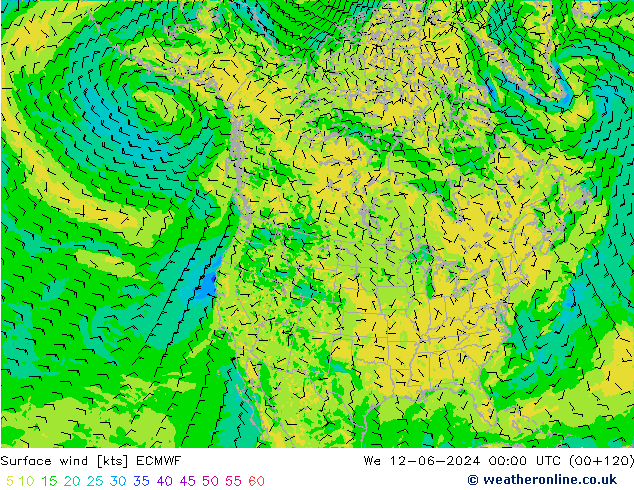 ветер 10 m ECMWF ср 12.06.2024 00 UTC