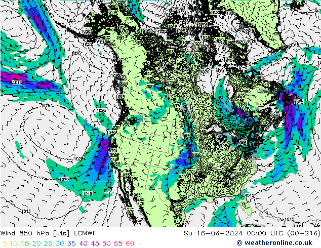 Rüzgar 850 hPa ECMWF Paz 16.06.2024 00 UTC