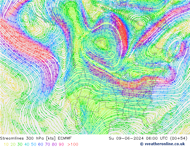 Linha de corrente 300 hPa ECMWF Dom 09.06.2024 06 UTC