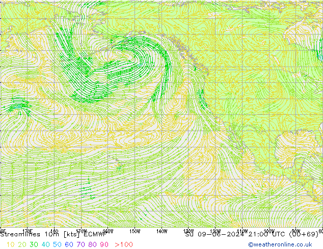 ветер 10m ECMWF Вс 09.06.2024 21 UTC