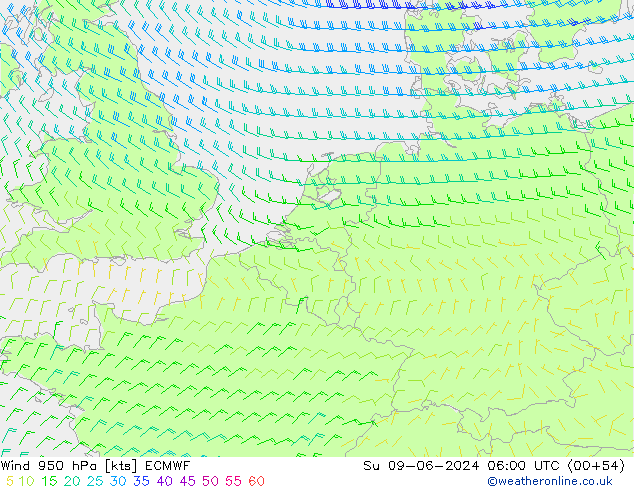 Vento 950 hPa ECMWF Dom 09.06.2024 06 UTC