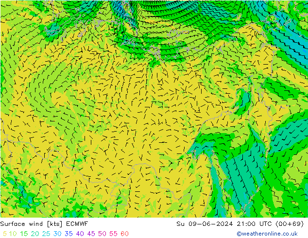 Surface wind ECMWF Ne 09.06.2024 21 UTC