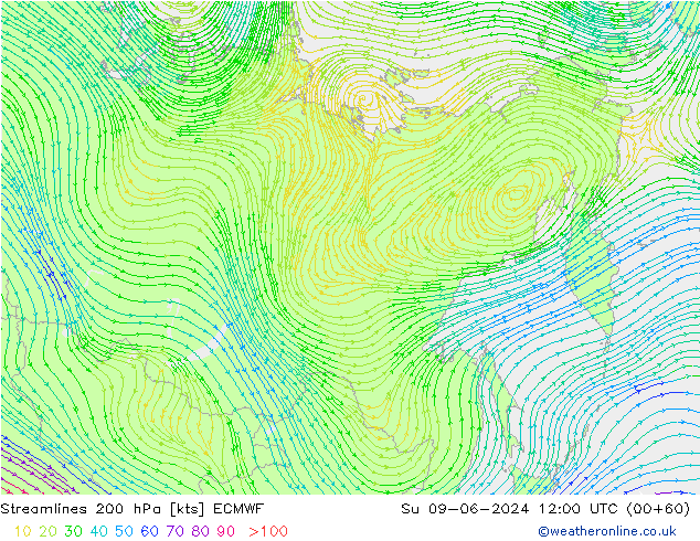 Streamlines 200 hPa ECMWF Su 09.06.2024 12 UTC