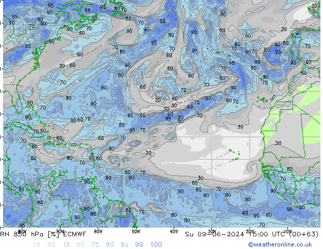 Humidité rel. 850 hPa ECMWF dim 09.06.2024 15 UTC