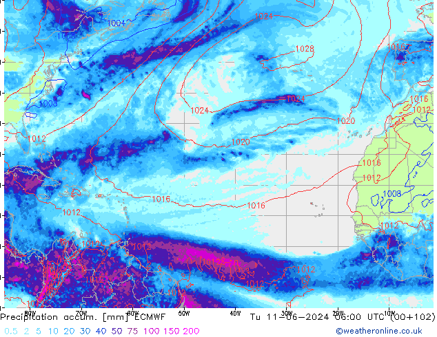 Toplam Yağış ECMWF Sa 11.06.2024 06 UTC