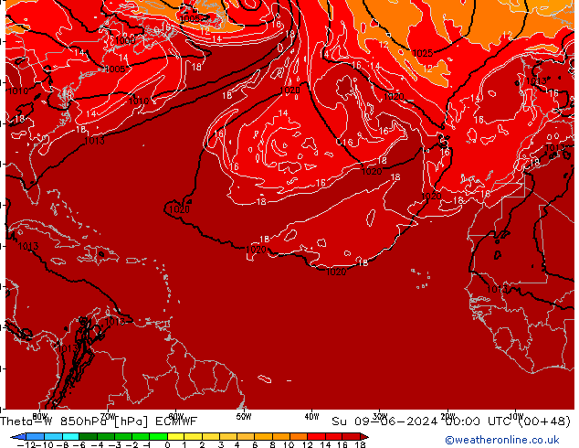 Theta-W 850hPa ECMWF Su 09.06.2024 00 UTC