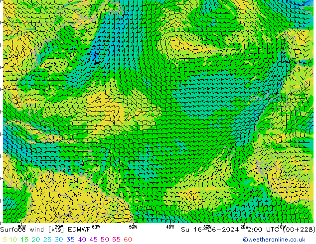 Vent 10 m ECMWF dim 16.06.2024 12 UTC