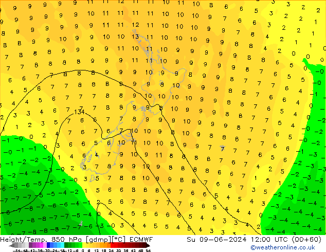 Z500/Rain (+SLP)/Z850 ECMWF Su 09.06.2024 12 UTC