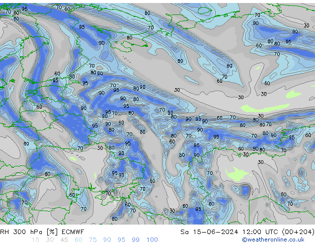 Humedad rel. 300hPa ECMWF sáb 15.06.2024 12 UTC