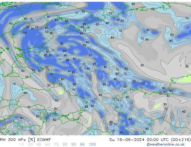 RH 300 hPa ECMWF  16.06.2024 00 UTC