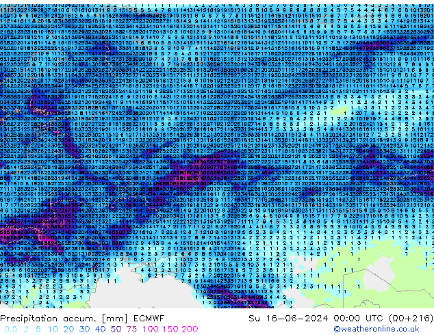 Precipitation accum. ECMWF  16.06.2024 00 UTC