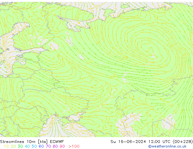  10m ECMWF  16.06.2024 12 UTC