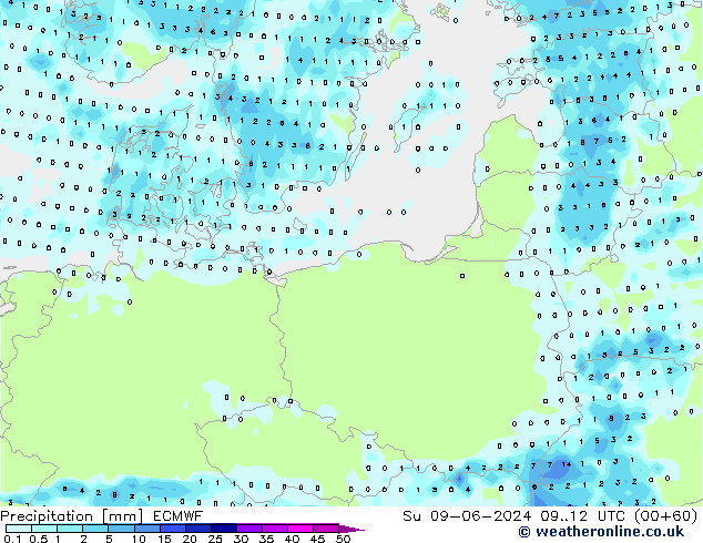 Precipitazione ECMWF dom 09.06.2024 12 UTC