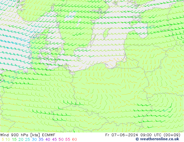 Wind 900 hPa ECMWF vr 07.06.2024 09 UTC