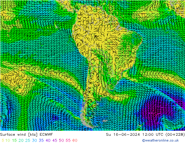 Surface wind ECMWF Su 16.06.2024 12 UTC