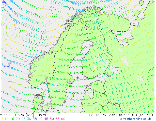 Rüzgar 900 hPa ECMWF Cu 07.06.2024 00 UTC