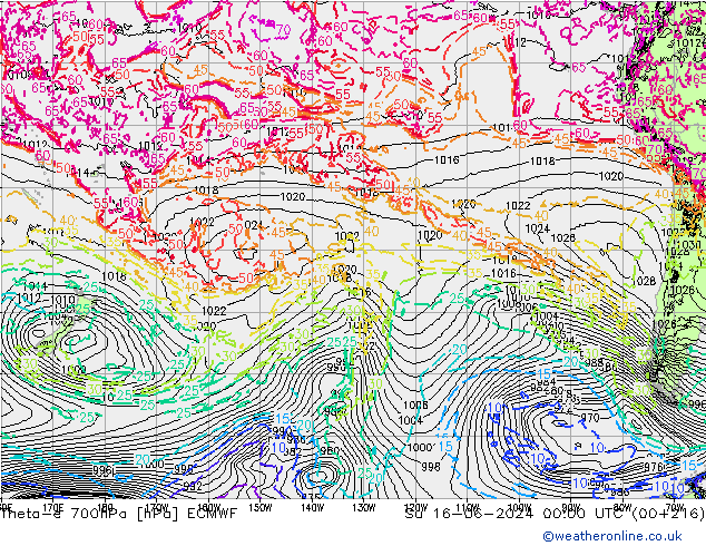 Theta-e 700hPa ECMWF dom 16.06.2024 00 UTC