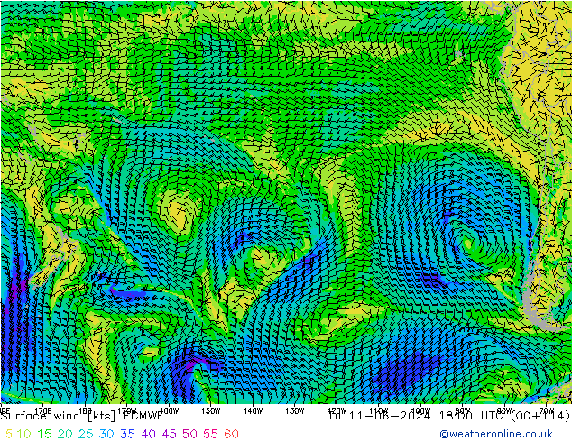  10 m ECMWF  11.06.2024 18 UTC